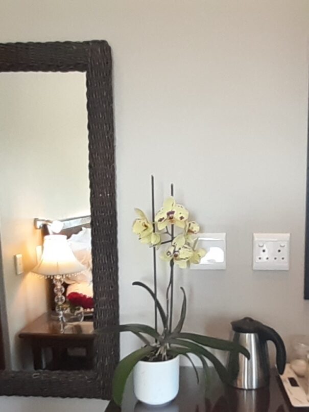 Mountainview Guesthouse | Room One